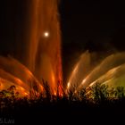 Hamburger Wasserlichtspiele