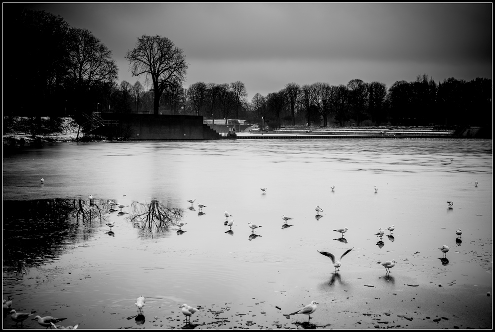 Hamburger Winter