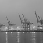 HamburgerHafen im Nebel