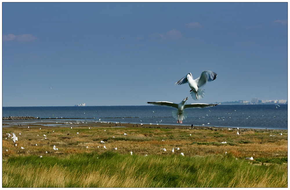 Hamburgisches Wattenmeer