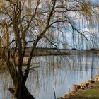 Hamburgs andere Elbe