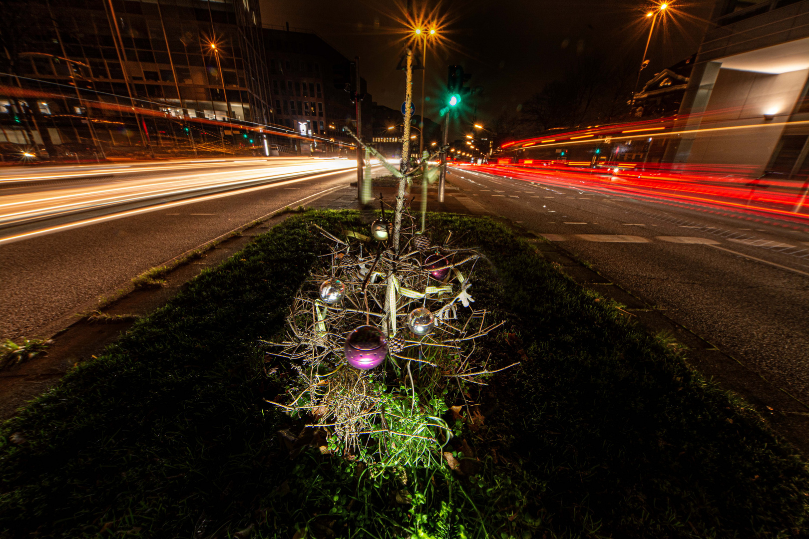 Hamburgs beliebtester Weihnachtsbaum