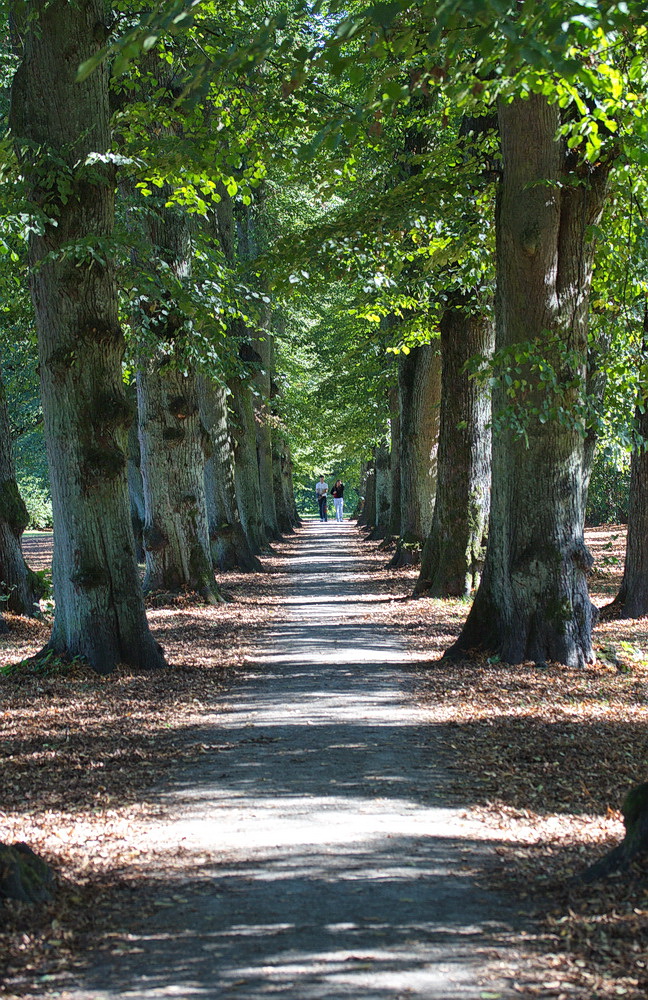 Hamburgs schönste Allee