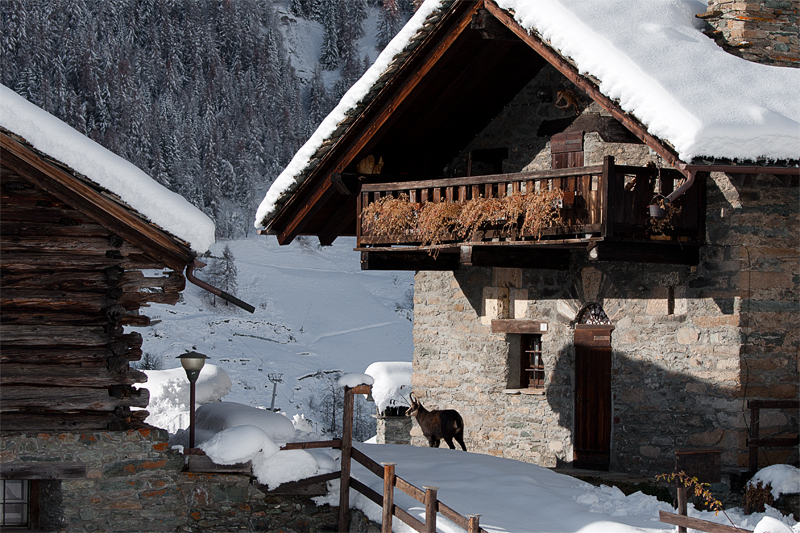 Hameau de montagne