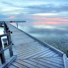 hamelin pool / western australia