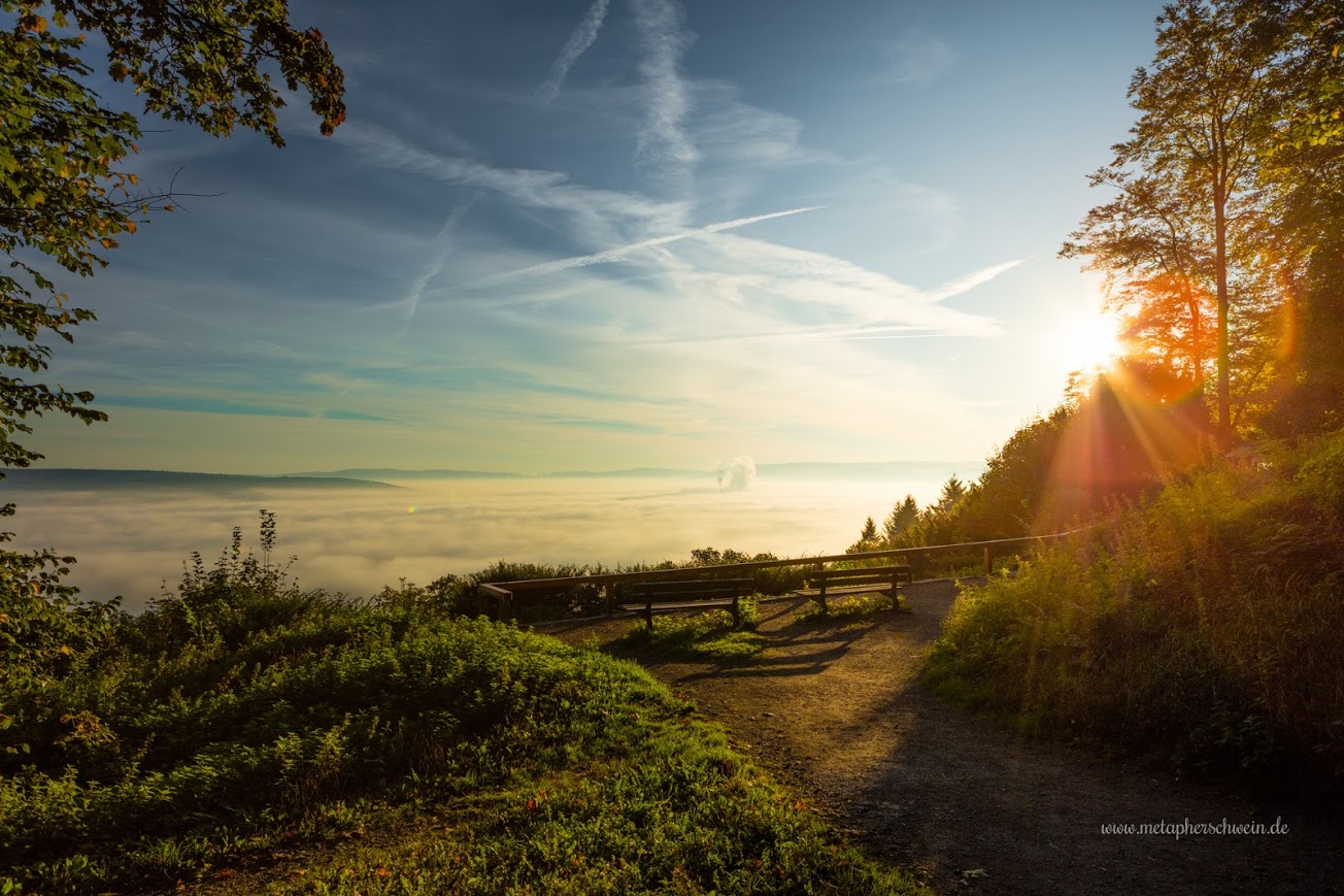 Hameln hält sich bedeckt