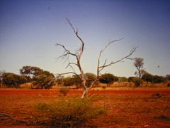 Hamersley Range