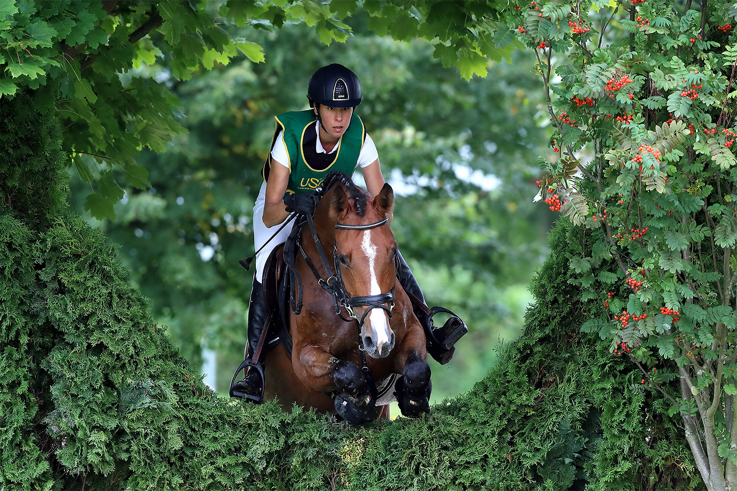 Hamm-Rhynern CCI* 2017