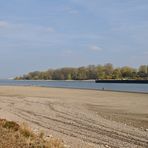 Hamm: Wo sonst der Rhein fließt 01