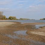 Hamm: Wo sonst der Rhein fließt 02