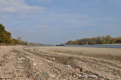 Hamm: Wo sonst der Rhein fließt 03