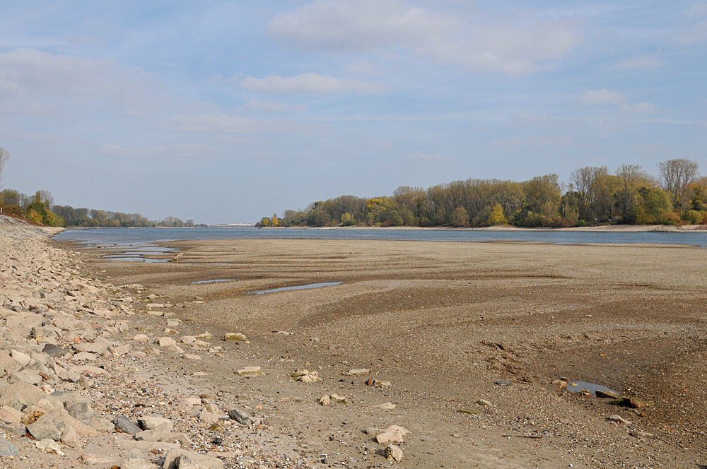 Hamm: Wo sonst der Rhein fließt 04