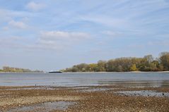 Hamm: Wo sonst der Rhein fließt 08