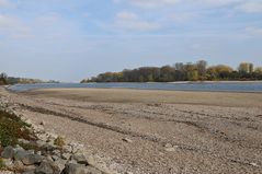 Hamm: Wo sonst der Rhein fließt 09