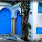 HAMMAMET -VIEILLE VILLE - 1 -