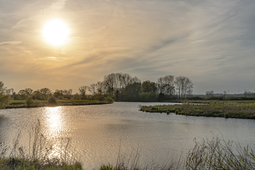 Hamme-goldene Stunde