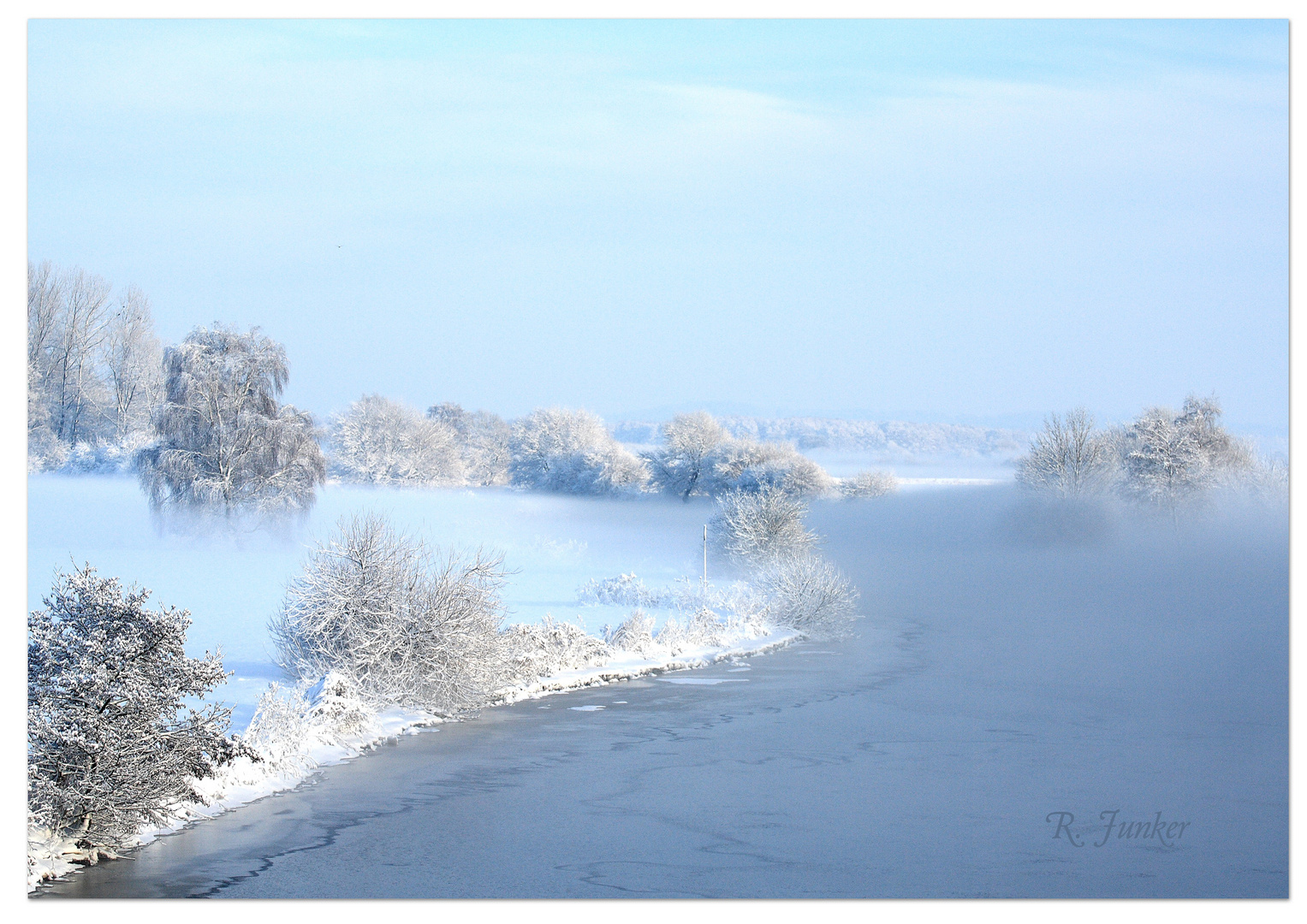 Hamme im Nebel