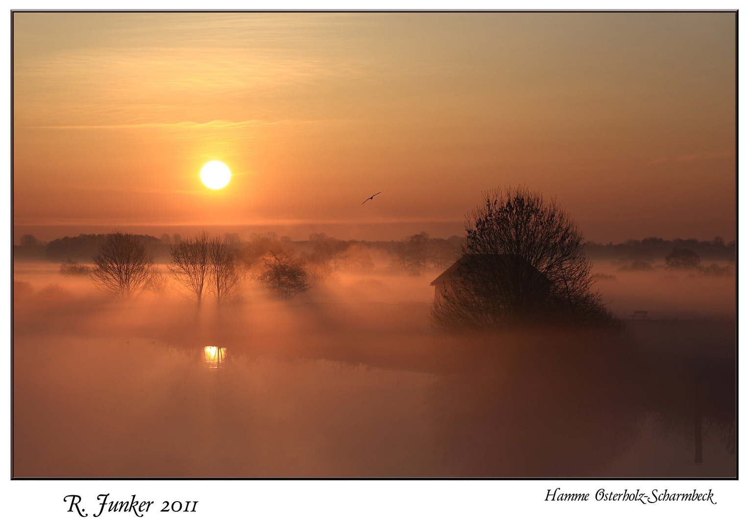 Hamme Osterholz-Scharmbeck