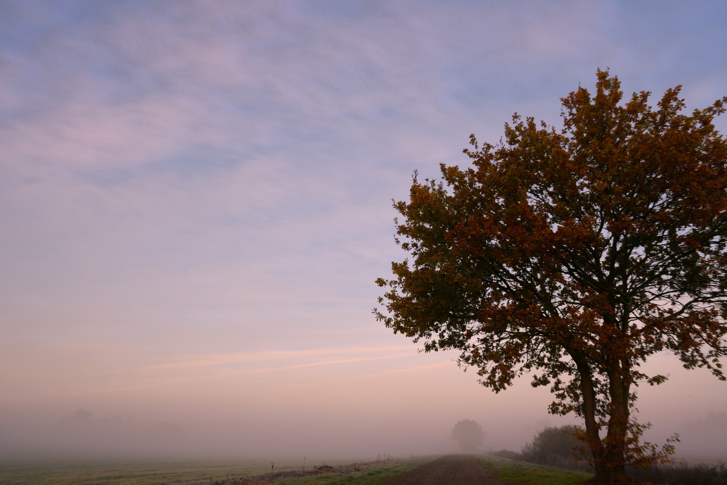 Hamme - Teufelsmoor - Worpswede