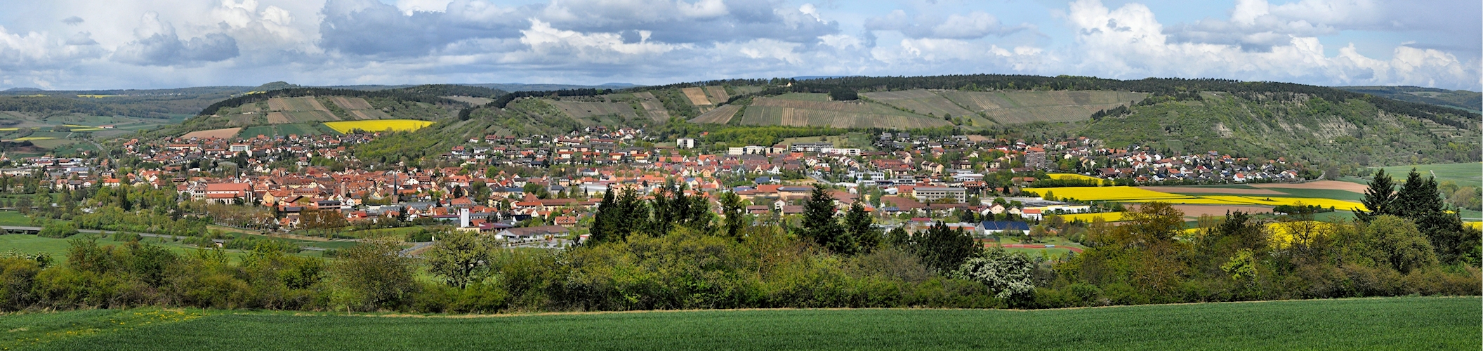 Hammelburg