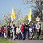 Hammelburger Pilgergruppe nach "Vierzehnheiligen" unterwegs