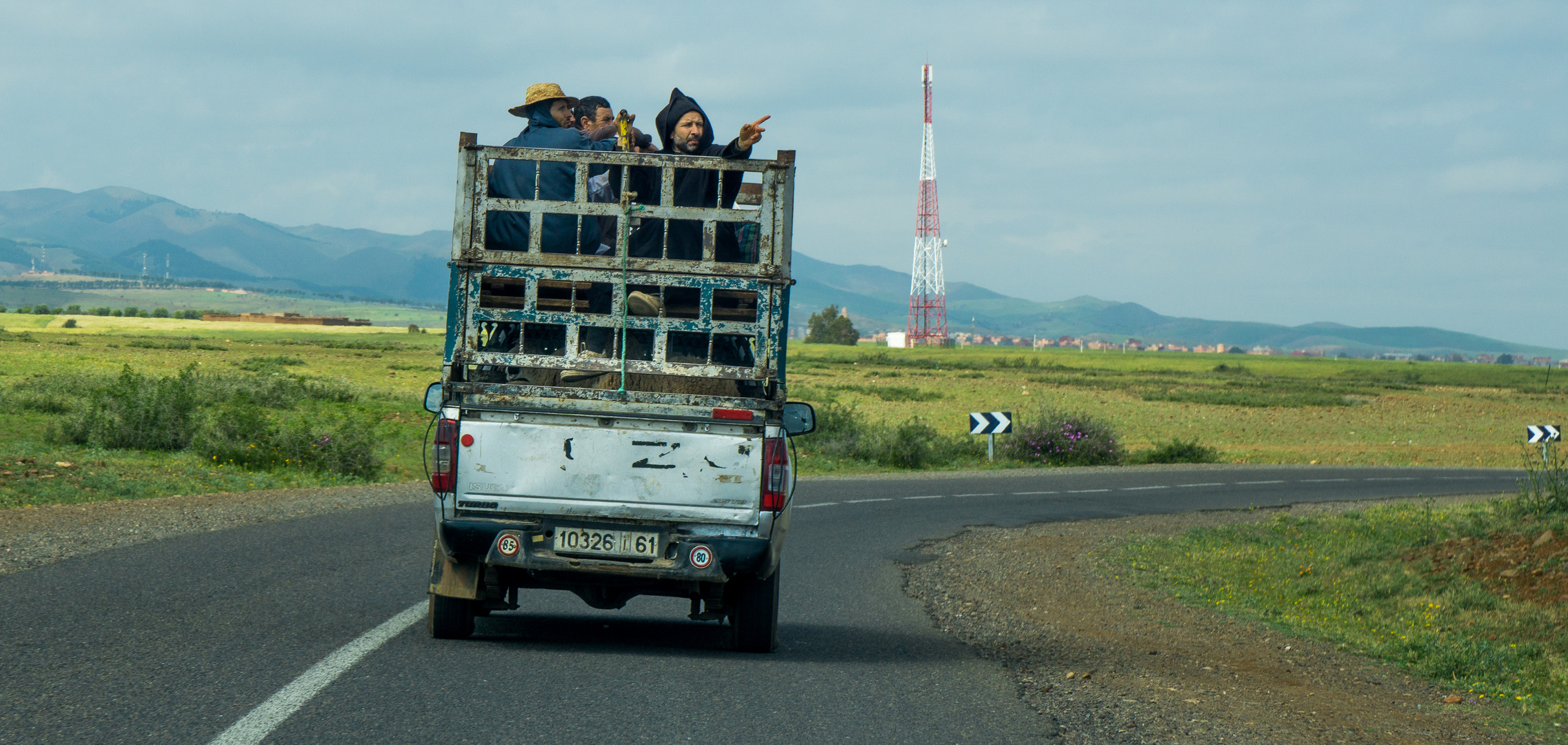 Hammeltransporter