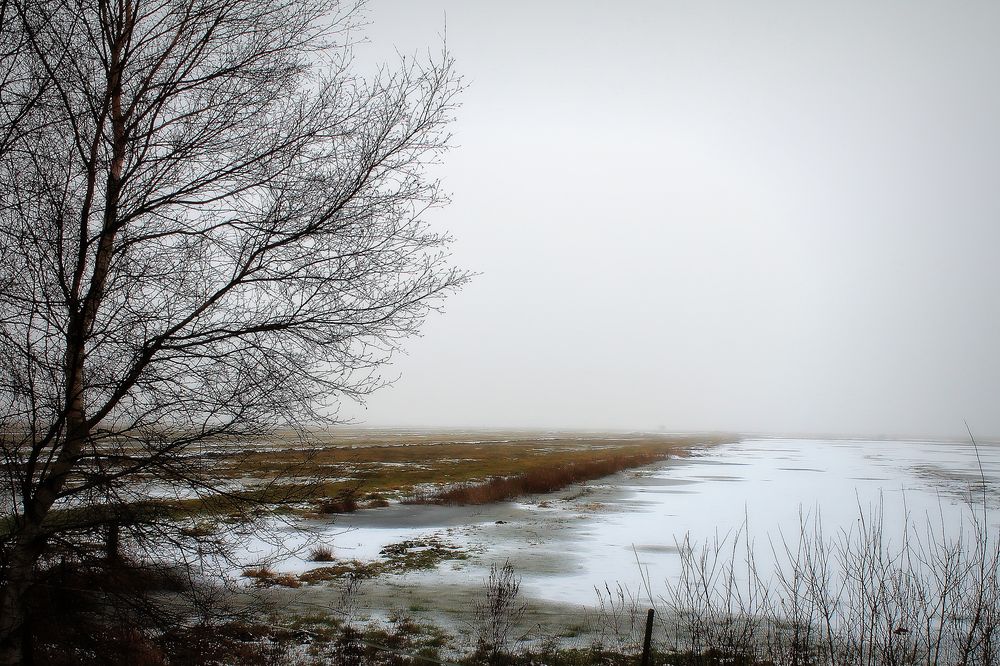 Hammeniederung im Winter