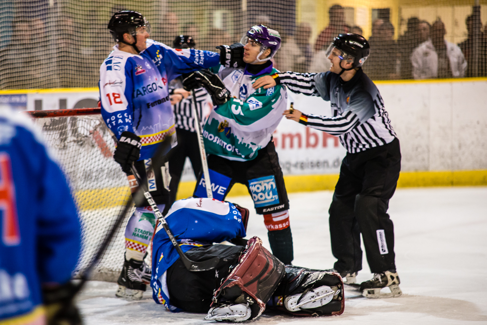 Hammer Eisbären - III