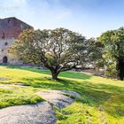 Hammerhus, Bornholm