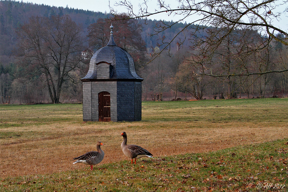 Hammerscheune mit Graugänsen