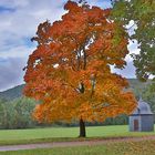 Hammerscheune mit Herbstaccessoire