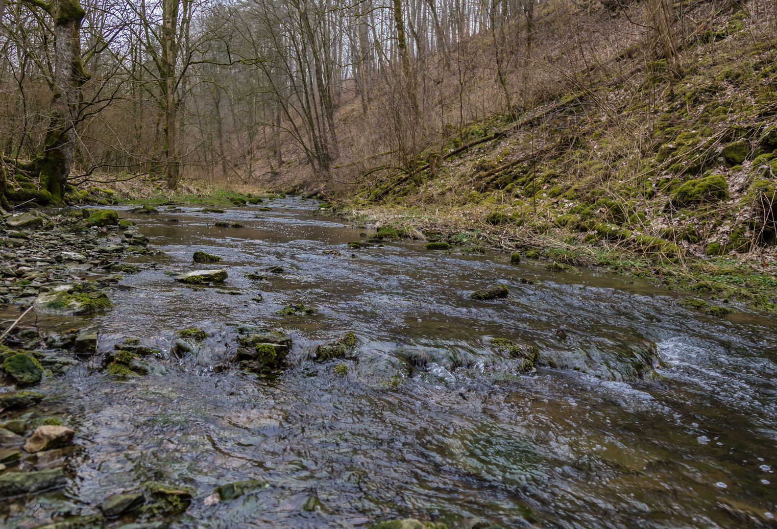 Hammerschmiede Gröningen