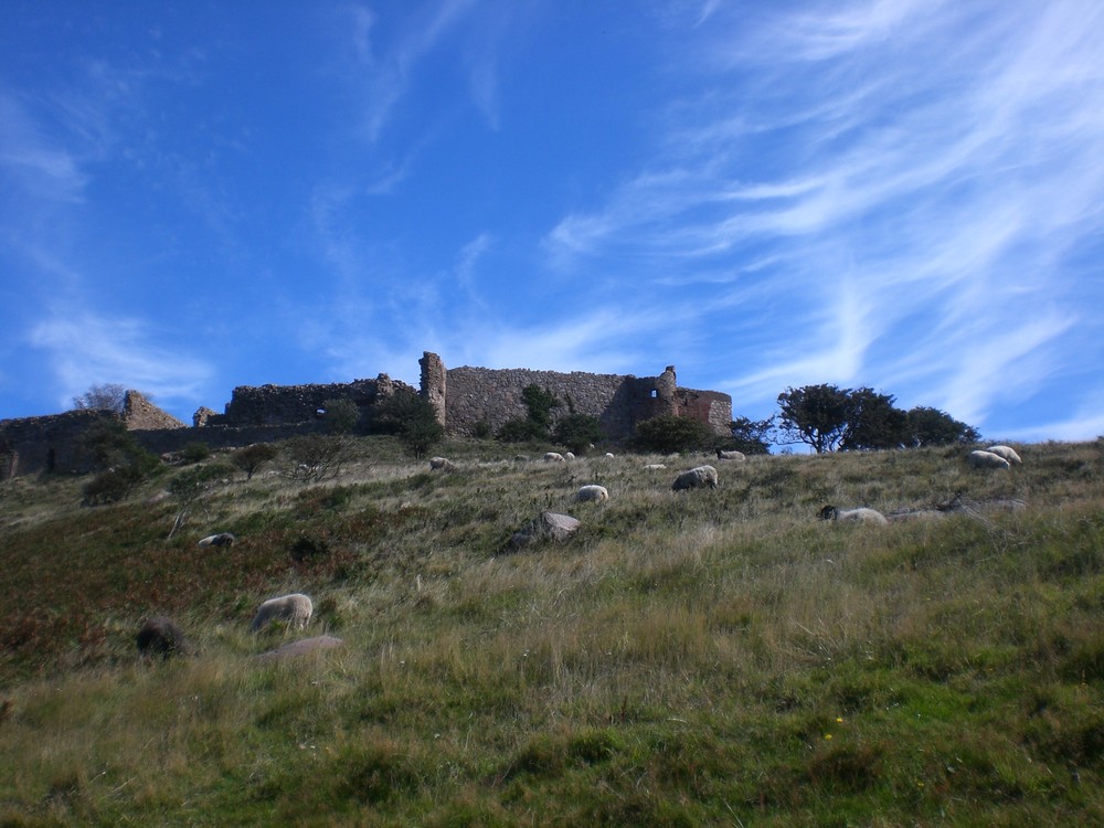 Hammershus auf Bornholm