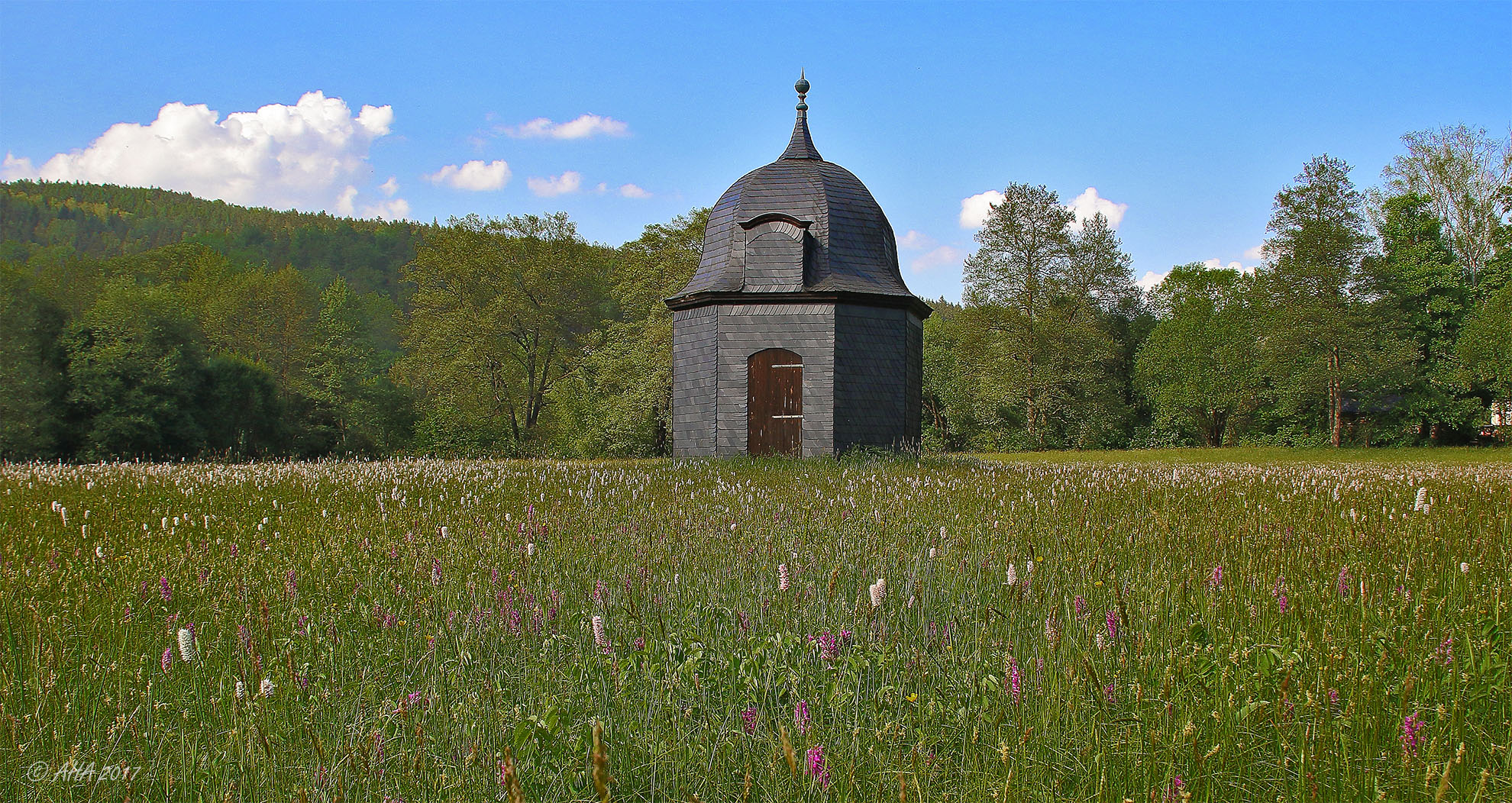 Hammerwiese