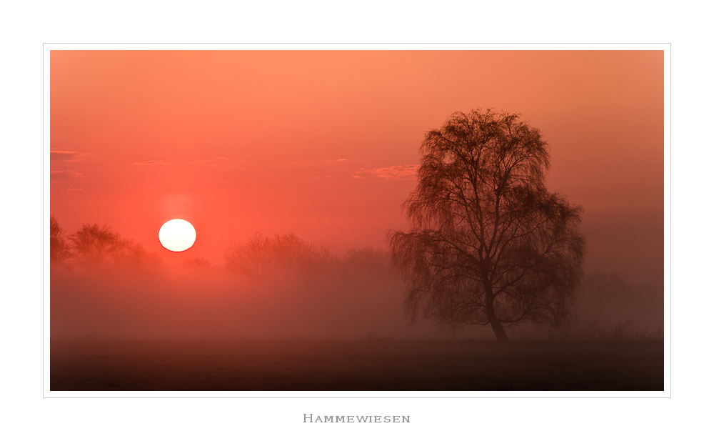 Hammewiesen am Morgen