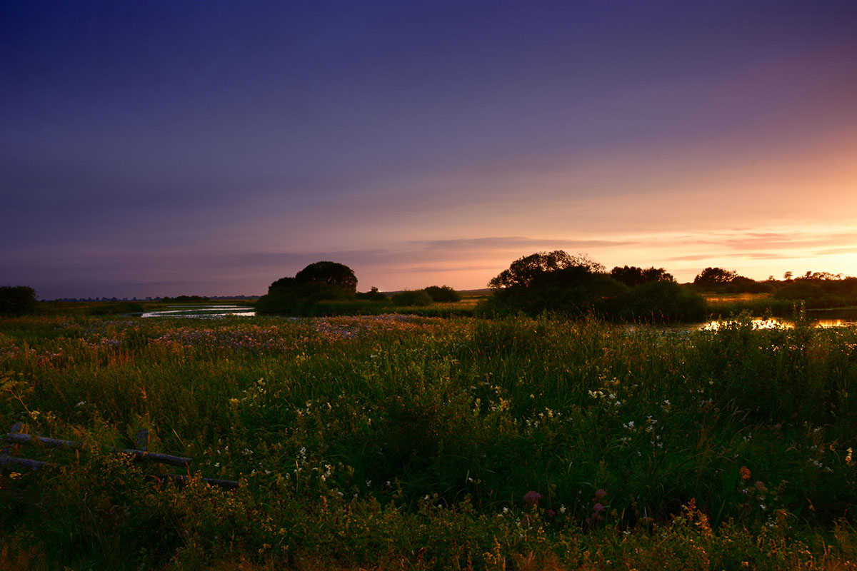 Hammewiesen im Sonnenuntergang