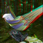 Hammock