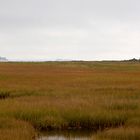 Hammonassett Salt Marsh