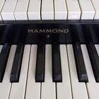 hammond organ