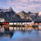 HAMNOY LOFOTEN