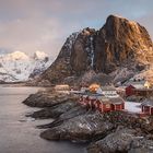 Hamnoy Morning