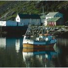 Hamnoya, Lofoten