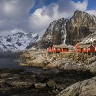 Hamnøy