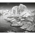 Hamnøy