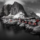 Hamnøy in Red