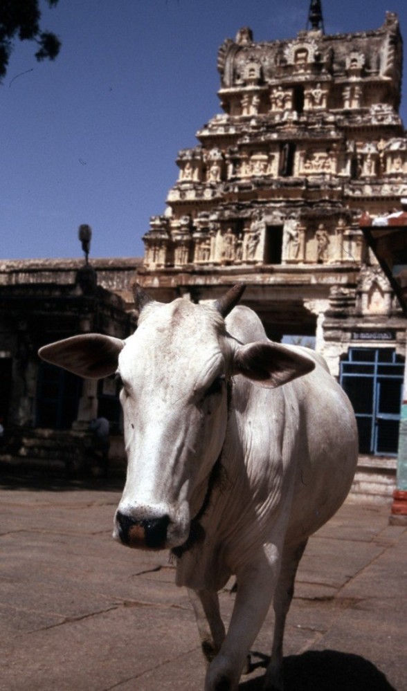 Hampi