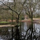 Hampstead Heath Pond