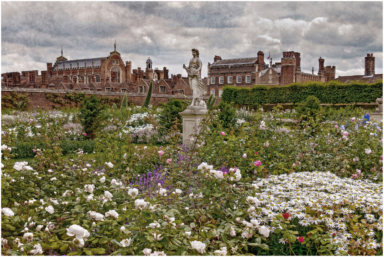 Hampton Court Palace Rose garden