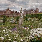 Hampton Court Palace Rose garden