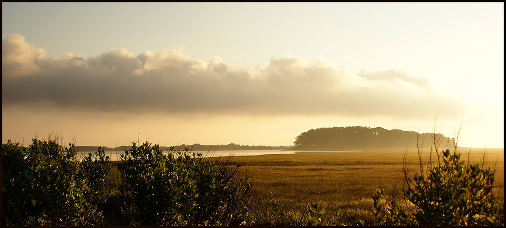 Hamptons, NY 2008